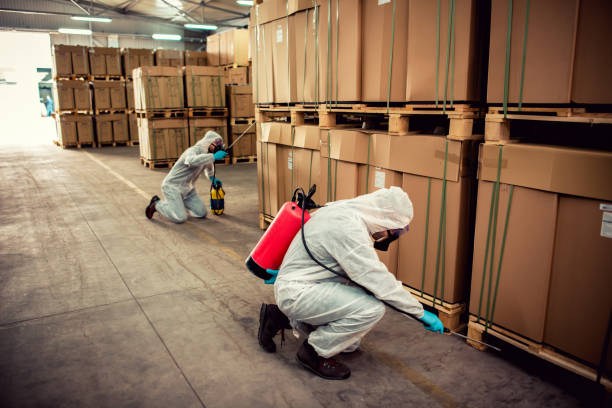 Best Termite Control Services  in Sapulpa, OK