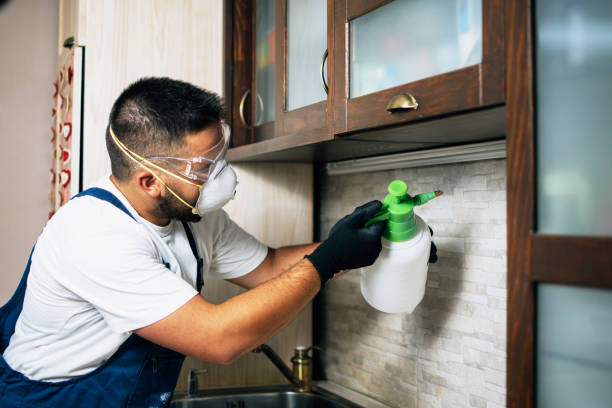 Best Pest Removal Services  in Sapulpa, OK