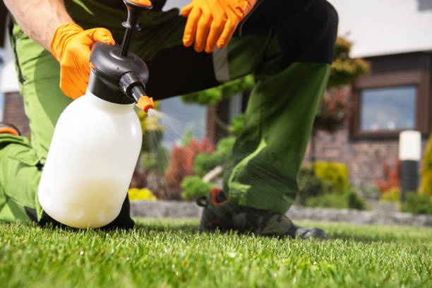 Pest Prevention Services in Sapulpa, OK