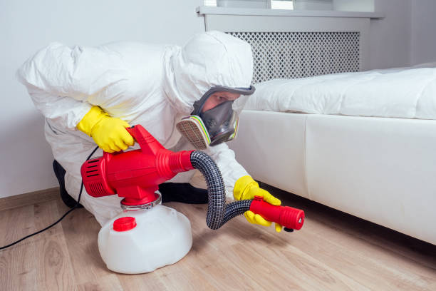 Professional Pest Control in Sapulpa, OK