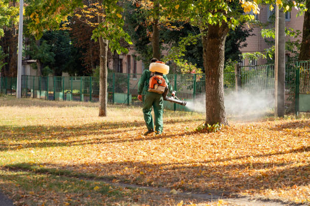 Best Termite Control Services  in Sapulpa, OK