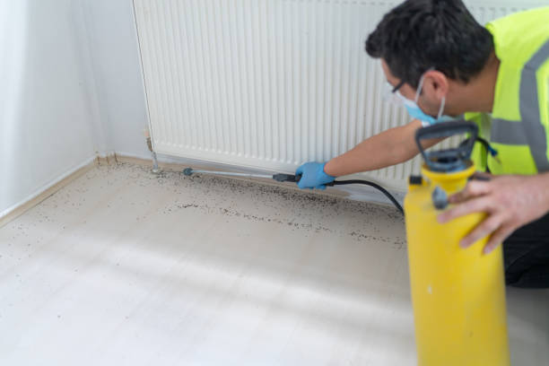 Best Cockroach Control Services  in Sapulpa, OK
